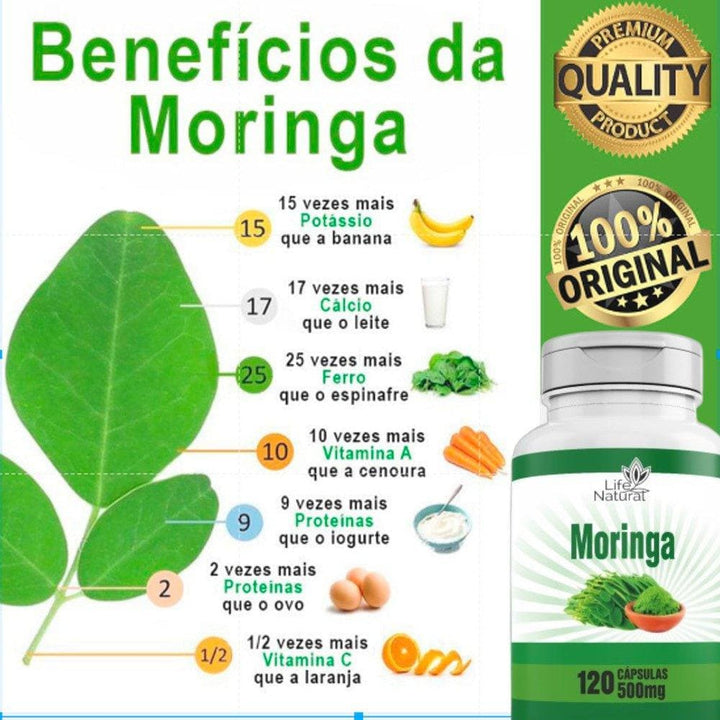 Moringa oleifera planta da vida 500mg 120 Caps Original Alta Qualidade - Apple Hapy 